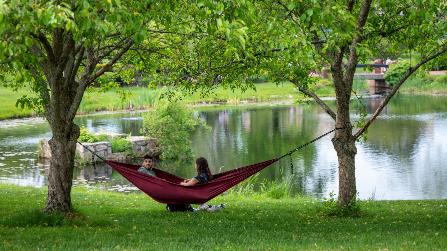 Students in red hammock overlooking pond