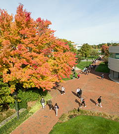     An aerial of Bryant University's campus during the fall.
