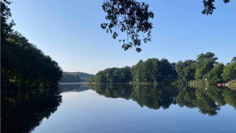 View of pond and trees in Smithfield.